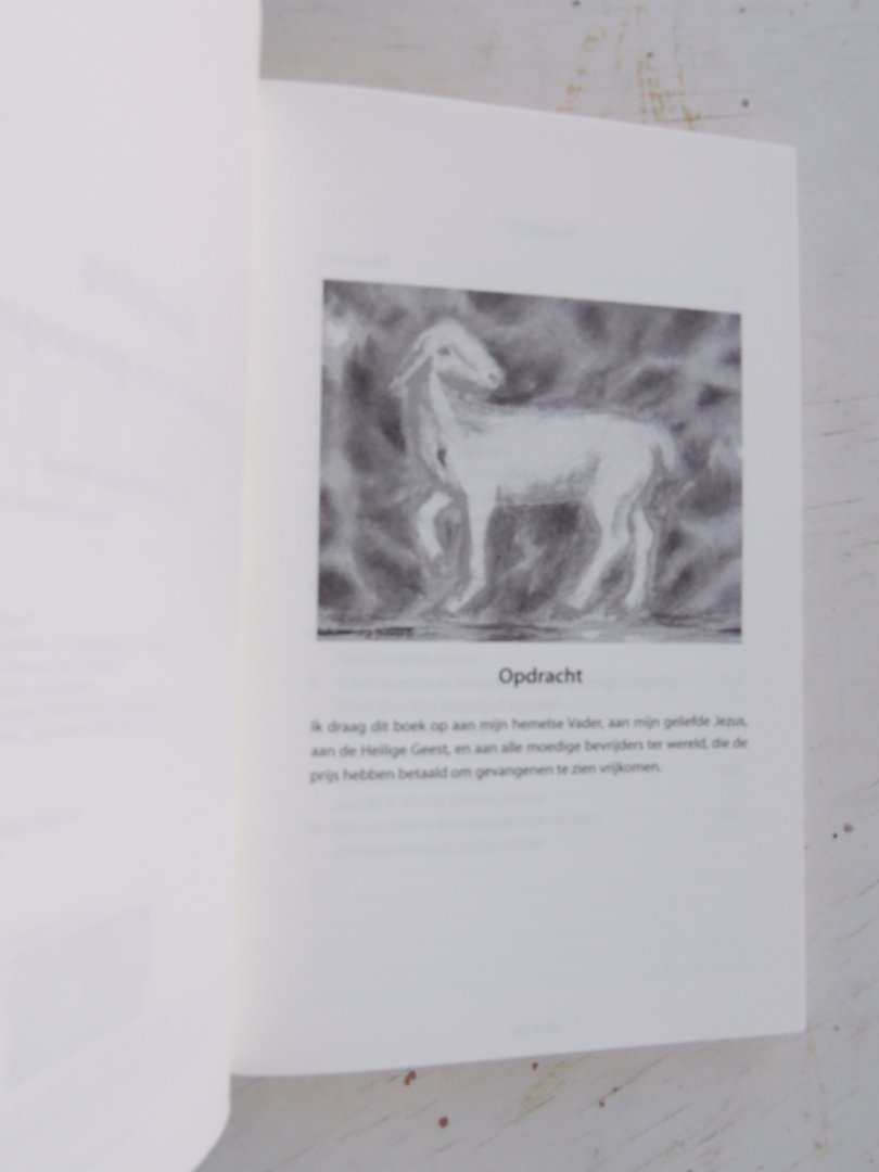 Mendez Ferrell, A. - Bevrijding uit gebieden van gevangenschap