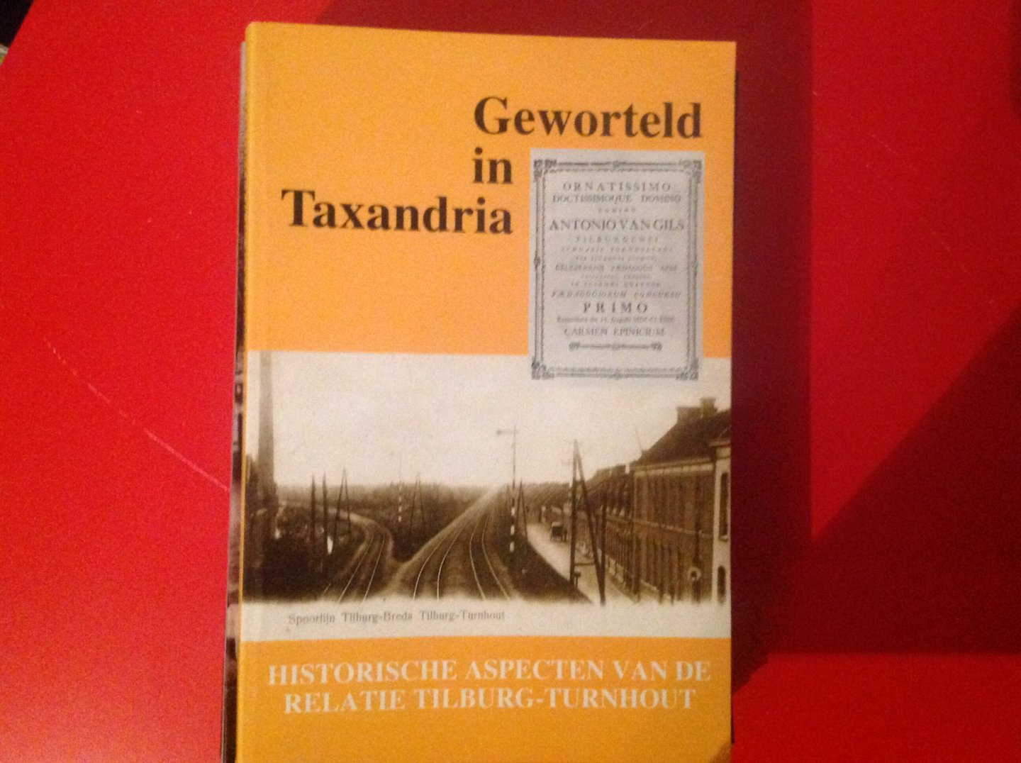 Henk van Doremalen en Ronald Peeters - Geworteld in taxandria / druk 1