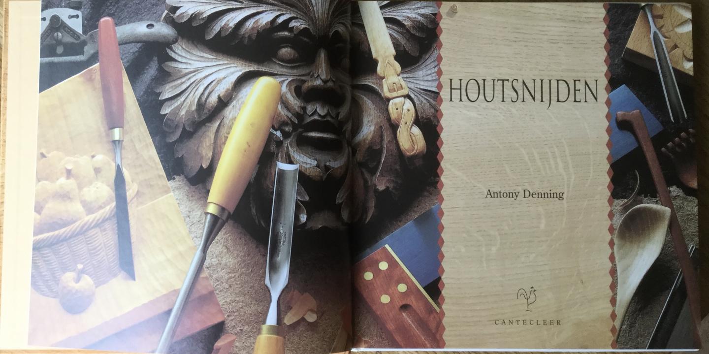 Denning, Antony - Houtsnijden, Een complete cursus met twaalf originele projecten