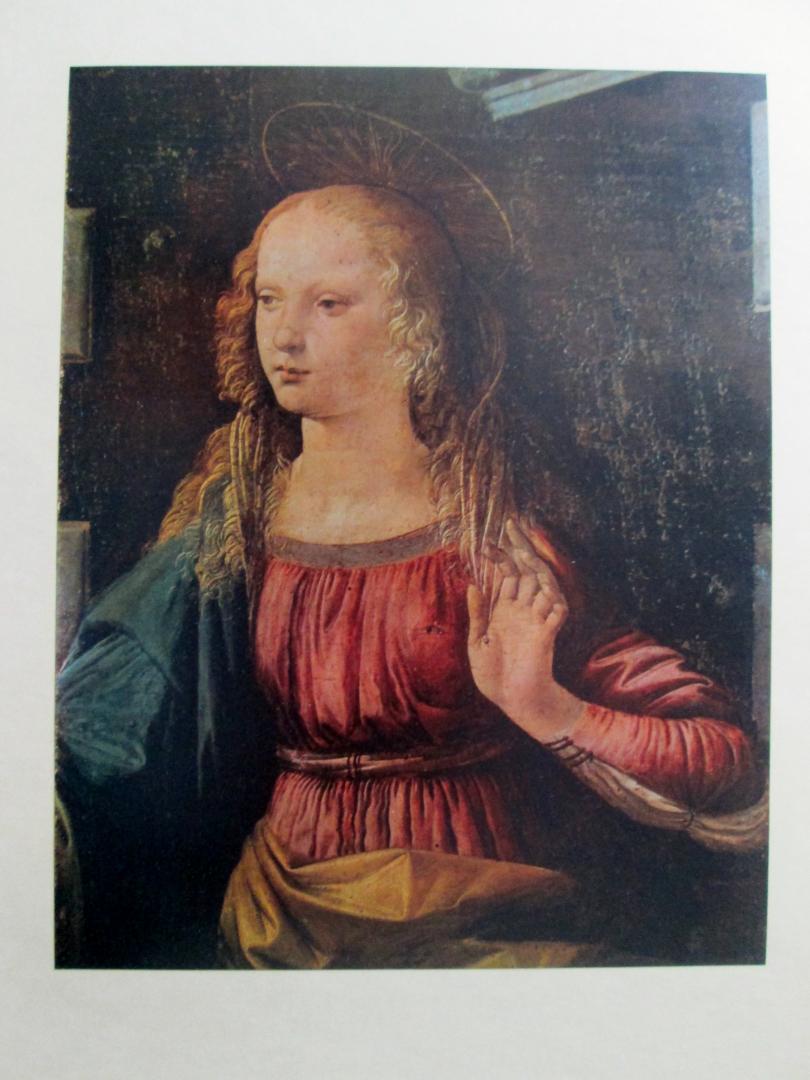 Andre Malreaux, Paul Valery et al - Tout l'oeuvre peint de Léonard de Vinci    (losbladig)