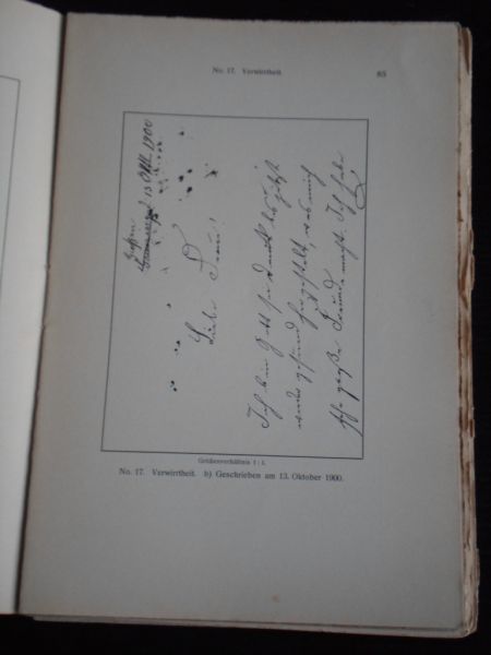 Koster, Dr.Rudolf - Die Schrift bei Geisteskrankheiten, Ein Atlas mit 81 Handschriftproben