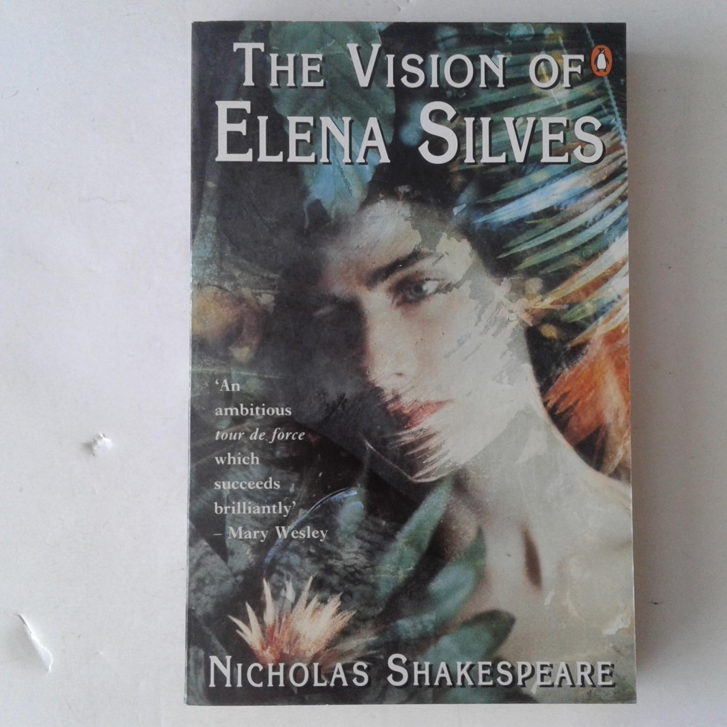 Shakespeare, Nicholas - The Vision of Elena Silves