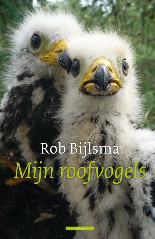 Rob Bijlsma - Mijn roofvogels