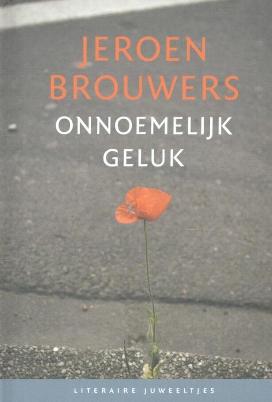 Jeroen Brouwers - Literaire Juweeltjes - Onnoemelijk geluk