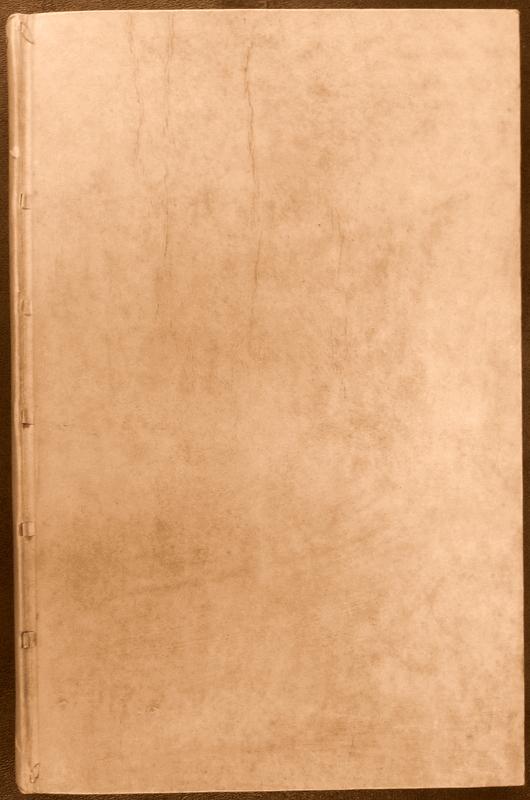 Naumann, H. - Die Minnesinger in Bildern der Manessischen Handschrift