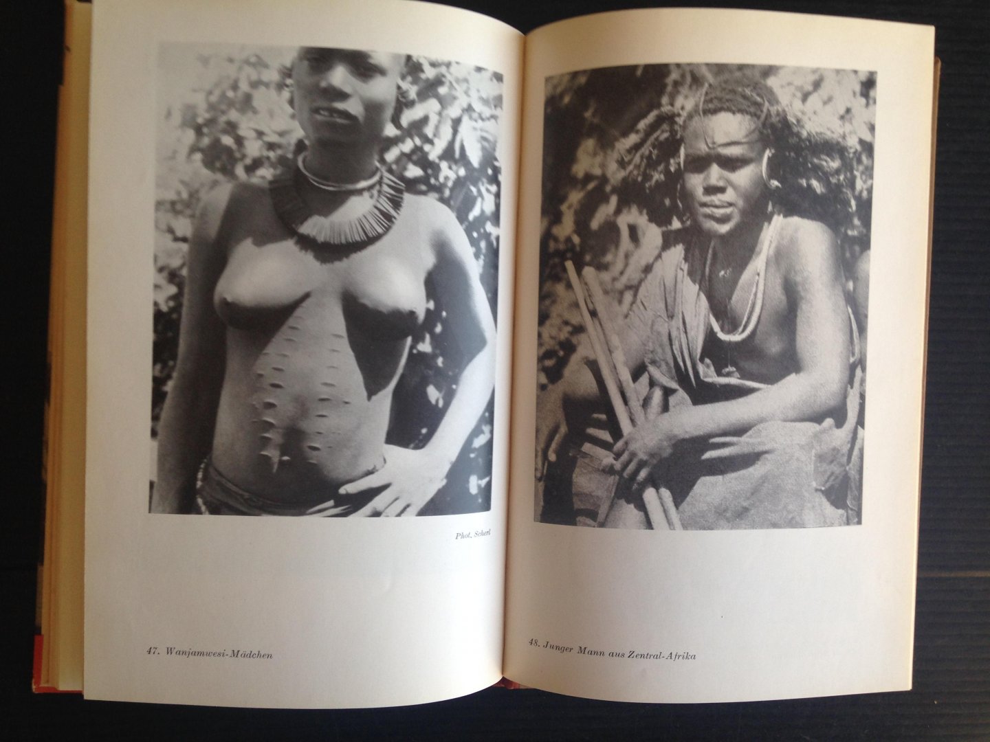 Gehrts Schomburgh, Meg - Negertypen des schwarzen Erdteils