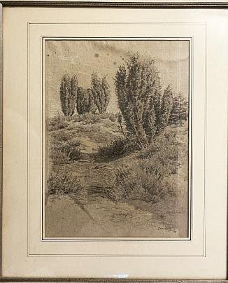 ROOS, S.H. de - Originele tekening in houtskool van enkele jeneverstruiken in een duinachtig landschap.