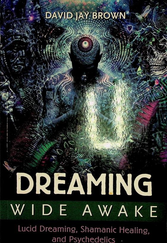 Brown, David Jay - Dreaming wide awake. Lucid Dreaming, Shamanic Healing, and Psychedelics