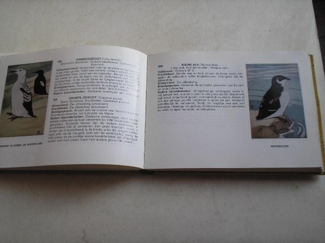 Binsbergen, Nol & Mooij, D. - Zien is kennen! zak determineerboek van alle in Nederland voorkomende Vogels