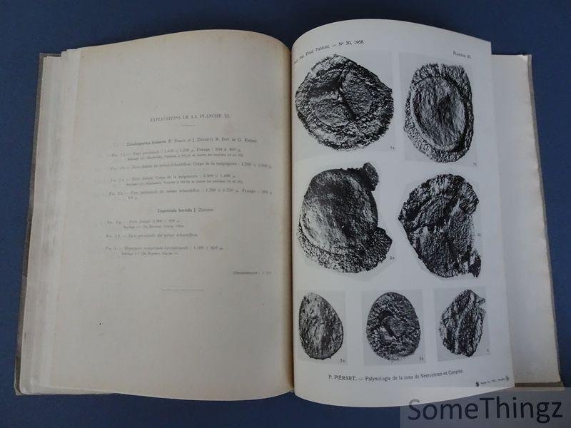Piérart, P. & A. Delmer - Palynologie en Stratigrafie van de Neeroeteren-groep (Boven-Westfalien C) in de Belgische Kempen. Palynologie et Stratigraphie de la zone de Neeroeteren (Westphalien C superieur) en Campine belge. Met een Nota over de stratigrafische en tekton...