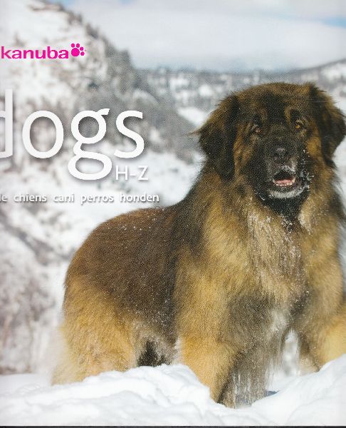 Redactie - Dogs. Hunde - Chiens - Cani - Perros - Honden (2 delen)