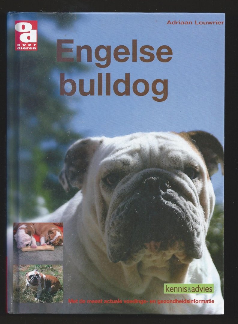 Louwrier, A. - Over Dieren Engelse bulldog