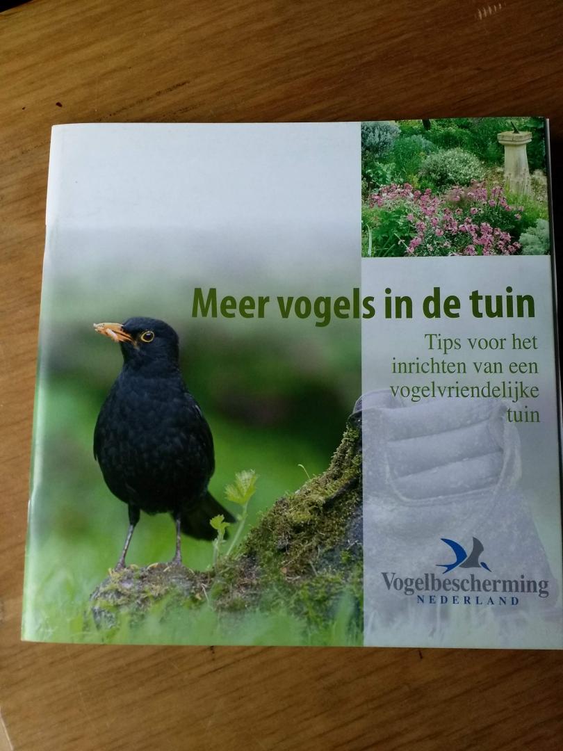 Buissink, Frans - Meer vogels in de tuin - tips voor het inrichten van een vogelvriendelijke tuin
