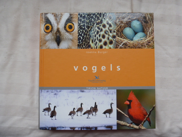 Burger, J. - Vogels / een topboek voor iedere vogelliefhebber