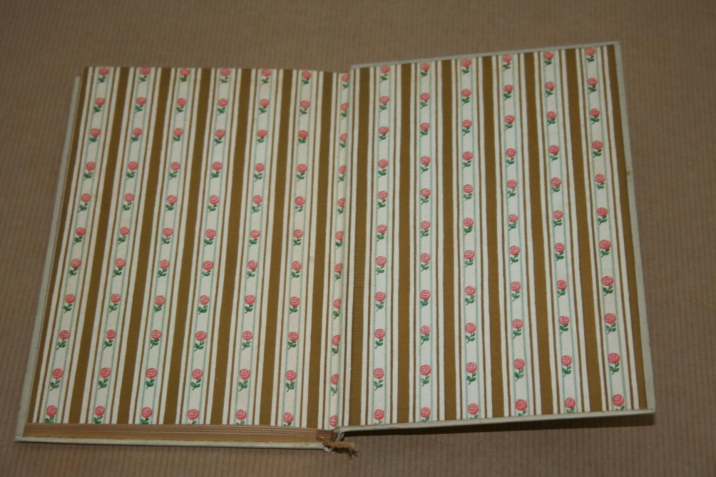 Gustav Falke - Das Büchlein Immergrün  -- Eine Auswahl Deutscher Lyryk für junge Mädchen