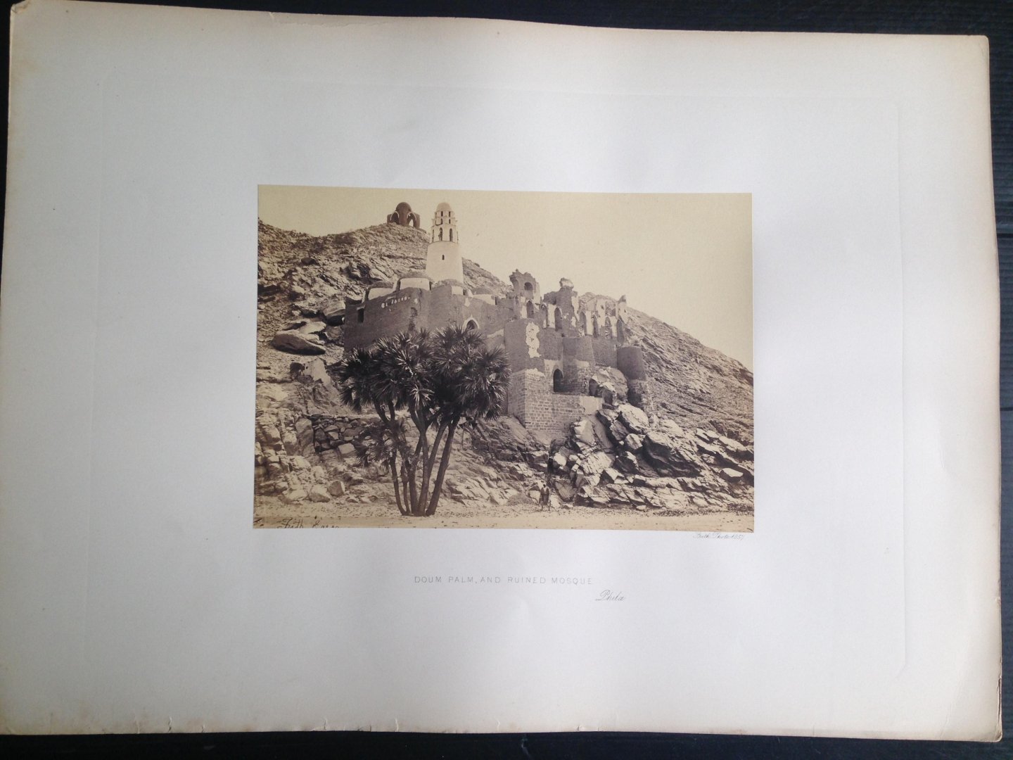 Frith, Francis - Doum Palm and Ruined Mosque, Series Egypt and Palestine