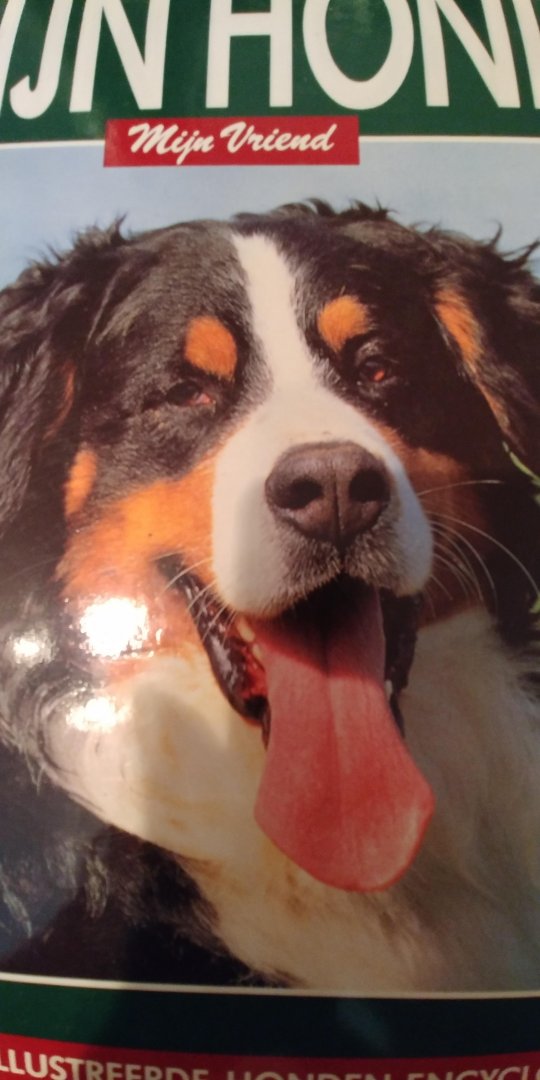 Bruin,Stephe (hoofdred.) - MIJN HOND mijn vriend BE