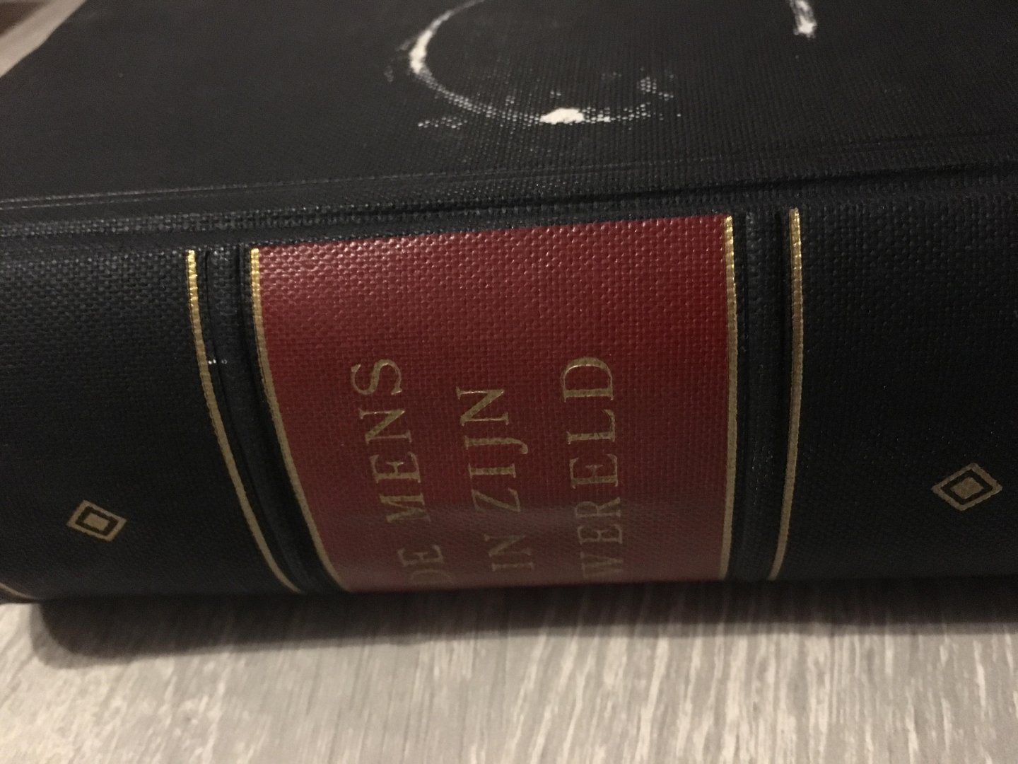  - De mens in zijn wereld synthese van het menselijk leven