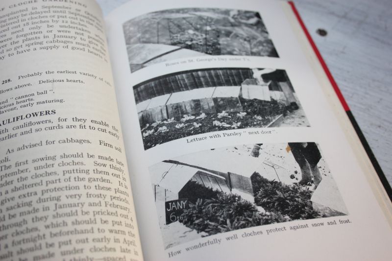 Shewell-Cooper W.E. - The A.B.C. of cloche gardening.