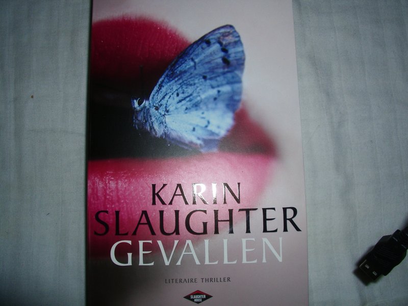 Slaughter, Karin - Gevallen