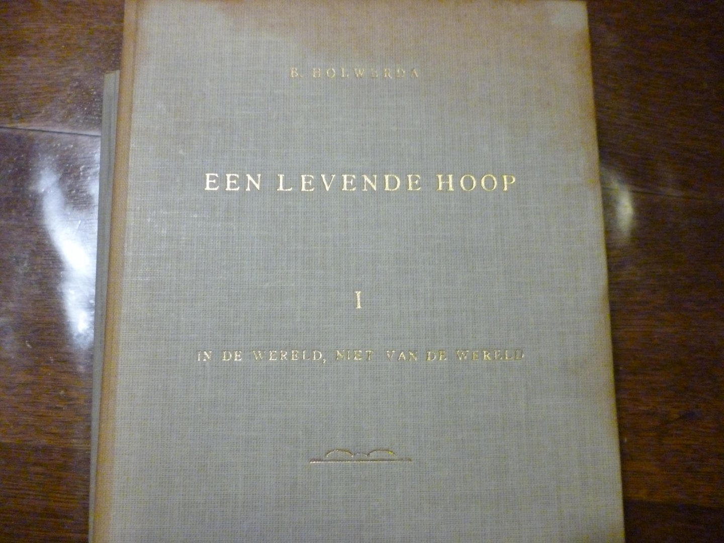 Holwerda B - Een levende hoop