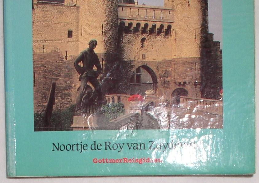 Roy van Zuydewijn, Noortje de - Met het oog op Antwerpen stad en provincie