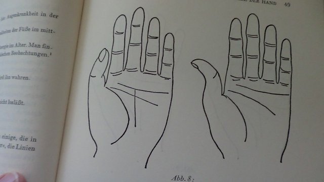 Mangoldt, Ursula von, - Das grosse Buch der Hand.
