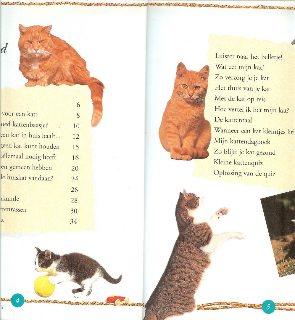 Stehr, Rainer  ..   Nederlandse vertaling door Catalien Neelissen - Mijn eerste Kattenboek