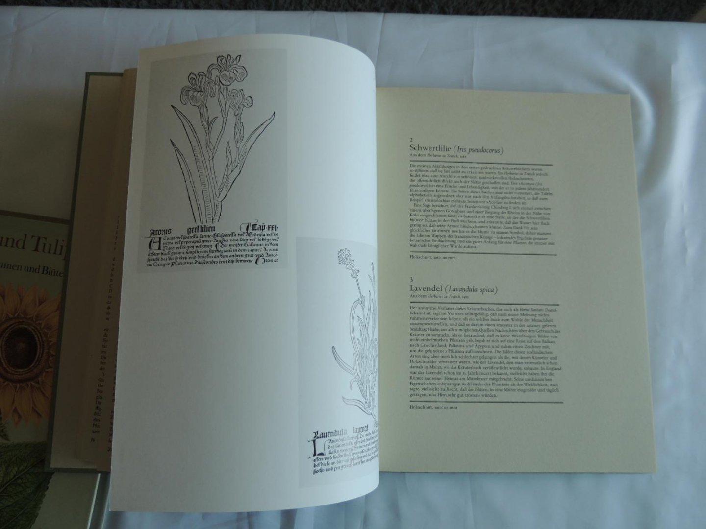 Coats, Alice - Kaiserkron und Tulipan die Schönheit von Blumen und Blüten. Tafeln aus Pflanzenbüchern des 16. bis 19. Jahrhunderts