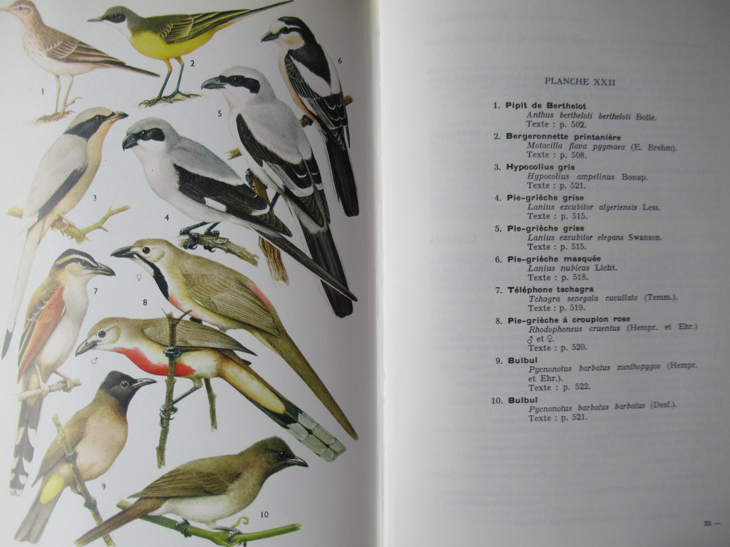R.D. Etchécopar - F. Huë - Les Oiseaux du Nord de l' Afrique de la Mer Rouge aux Canaries