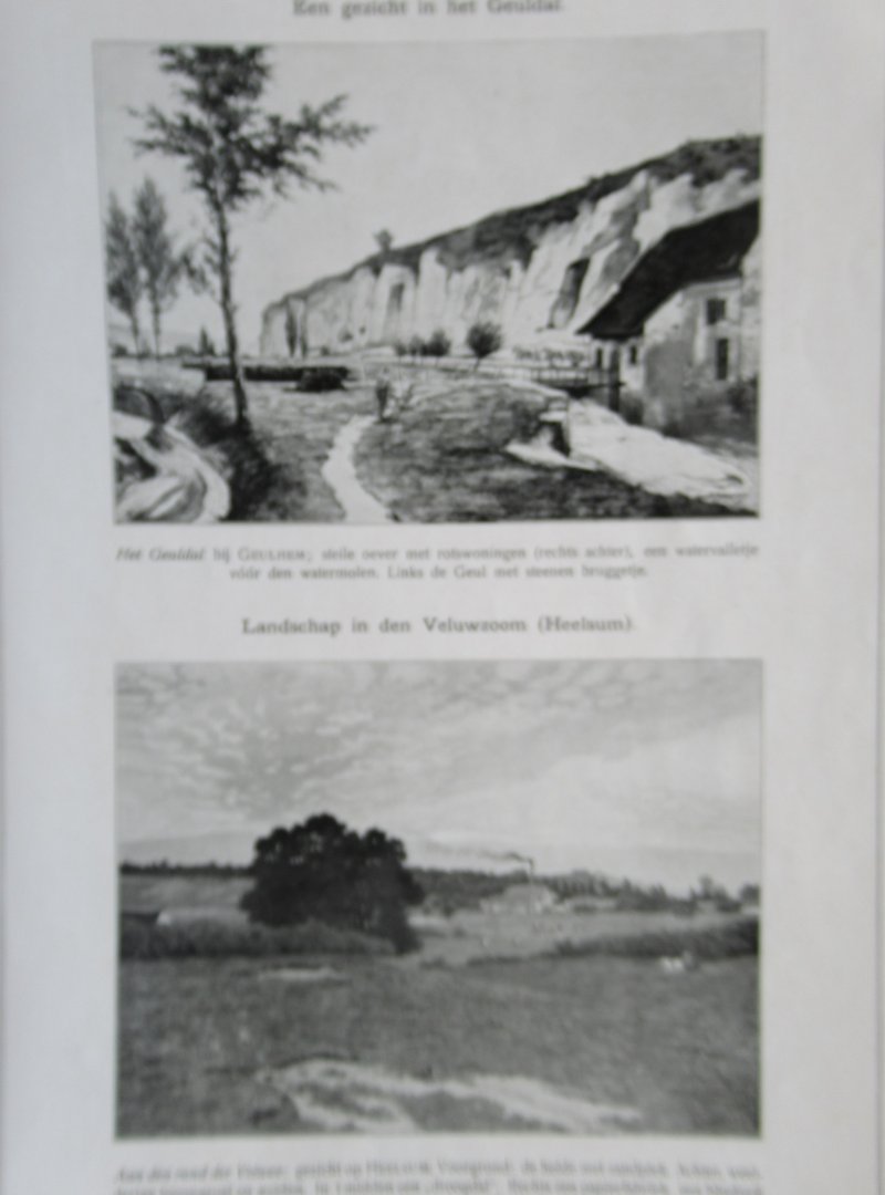 Diverse auteurs - Nederlandsche schoolplaten