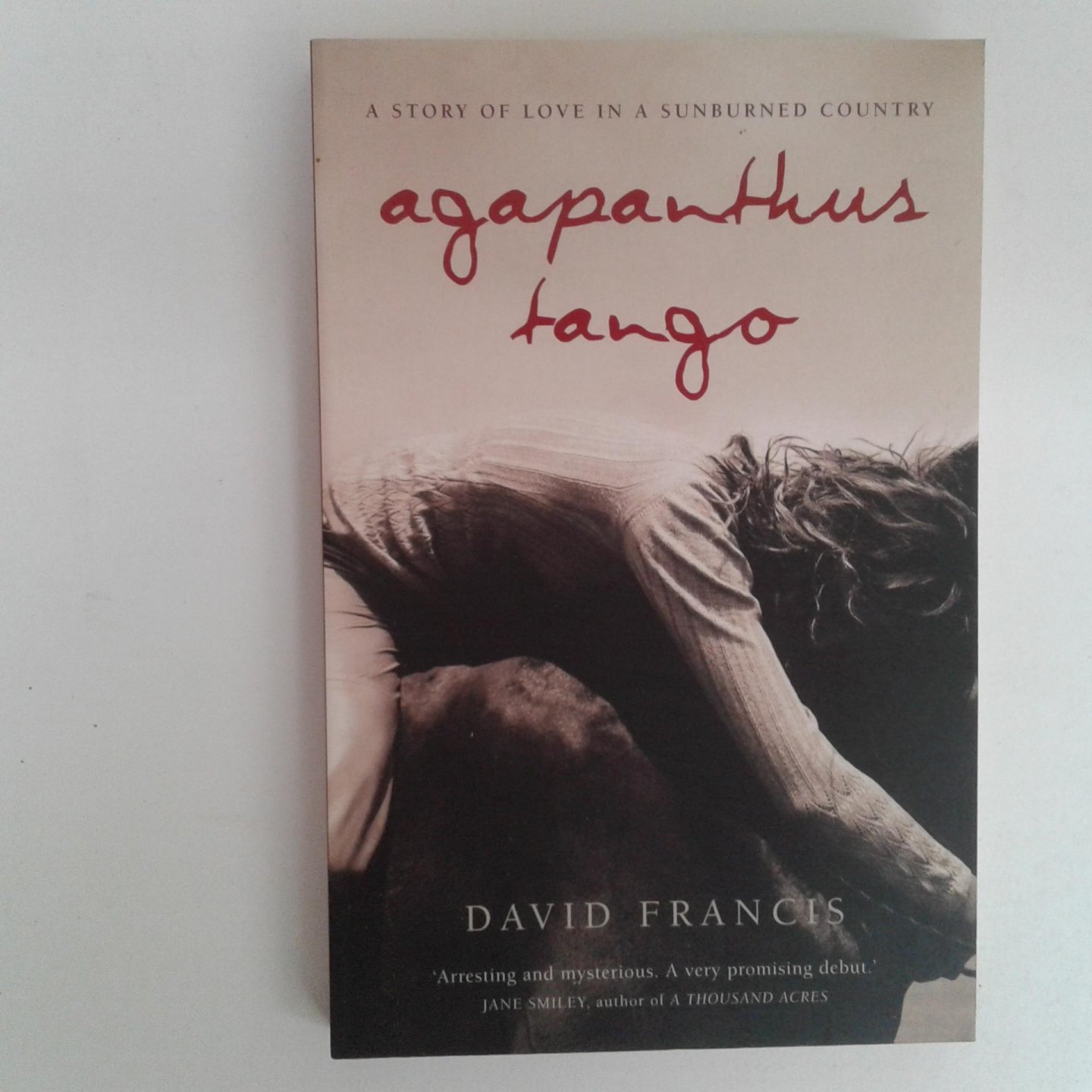 Francis, David - Agapanthus Tango