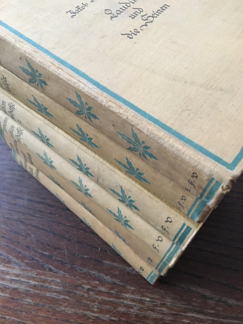 Jacob Wassermann - 6 delen van Wassermann; Caspar Hauser Über die tragheit des herzens, Laudin und die seinen, Ebel undergast, Der Fall Maurizius, Christian Wahnschaffe I & II