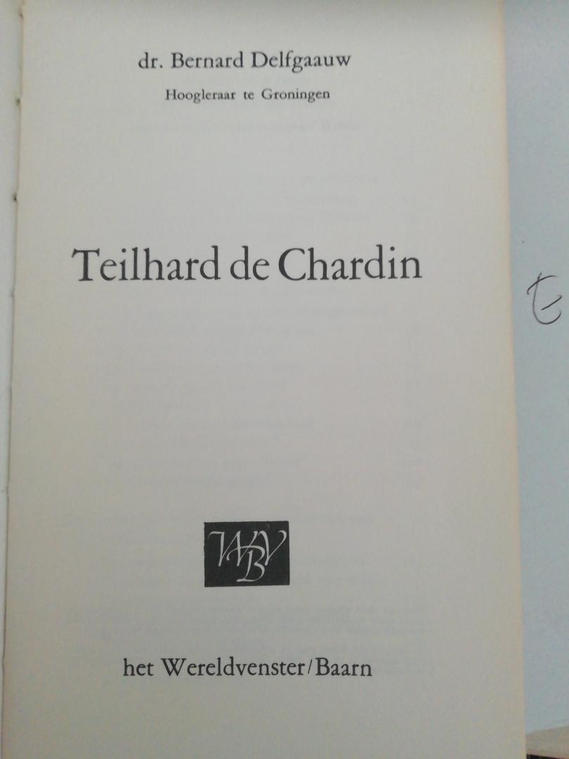Delfgaauw B - Teilhard de Chardin