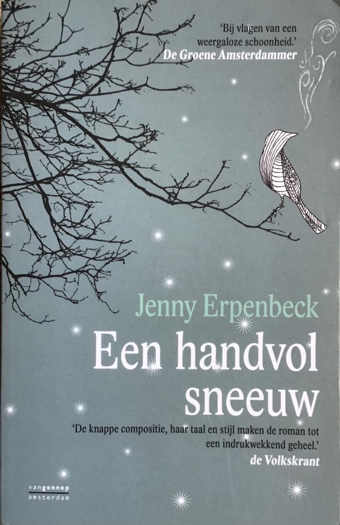 Erpenbeck, Jenny - Een handvol sneeuw