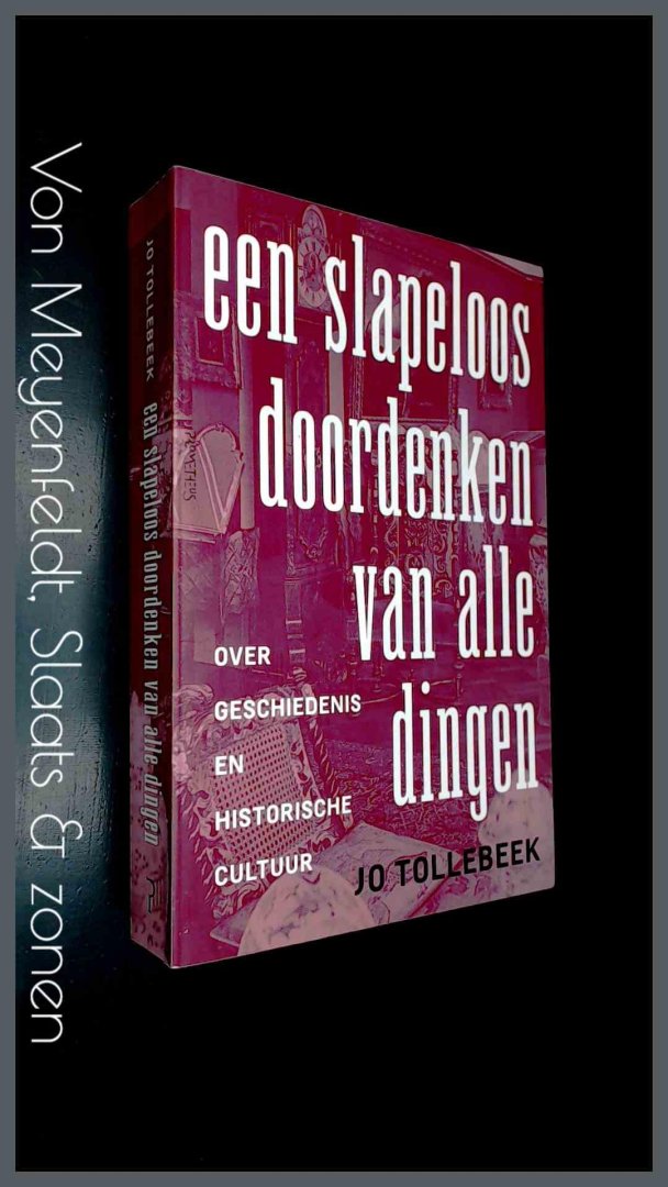 Tollebeek, Jo - Een slapeloos doordenken van alle dingen - Over geschiedenis en historische cultuur