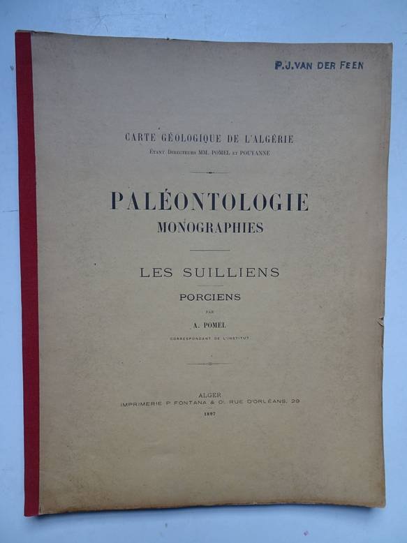 Pomel, A.. - Paléontologie monographies/ les suilliens, porciens; carte géologique de l'Algérie.