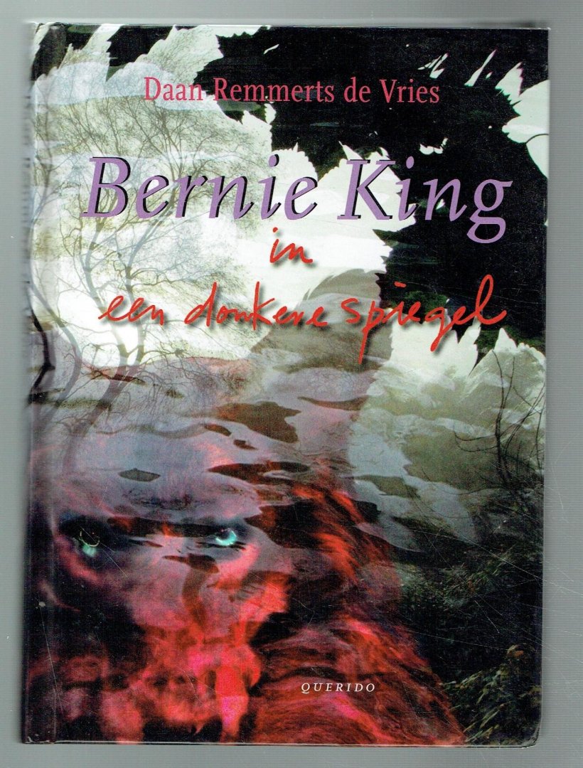 Remmerts de Vries, Daan - Bernie King in een donkere spiegel