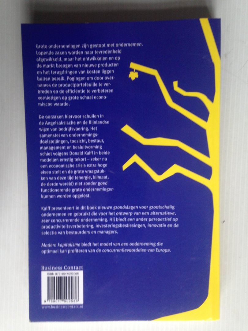 Kalff, Donald - Modern Kapitalisme, Alternatieve grondslagen voor grote ondernemingen