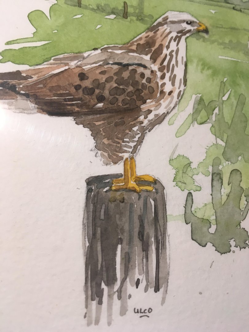 Glimmerveen, Ulco - kunstenaar - Buizerd - originele, gesigneerde aquarel van vogel op een paal in weidelandschap
