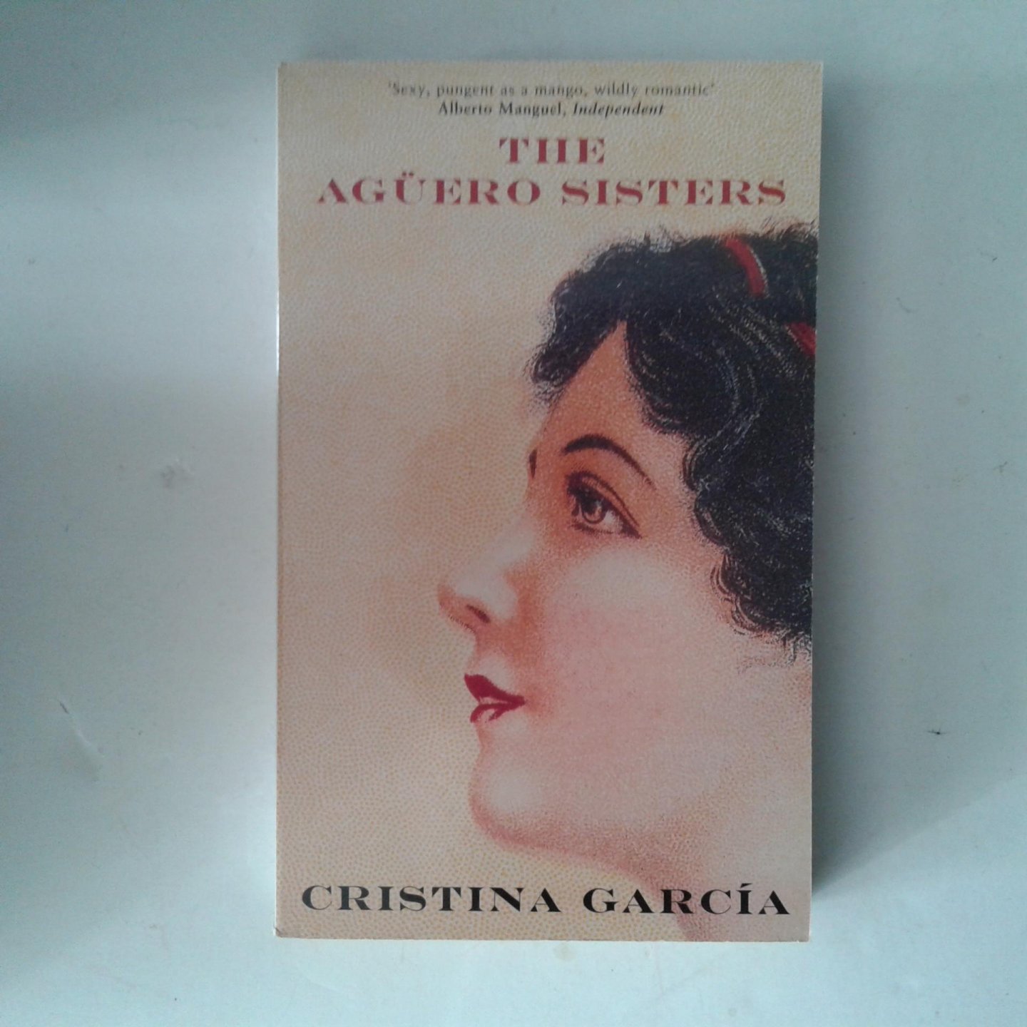 Garcia, Christina - The Agüero Sisters