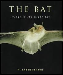 Brock Fenton, M. - The bat. Wings in the night sky
