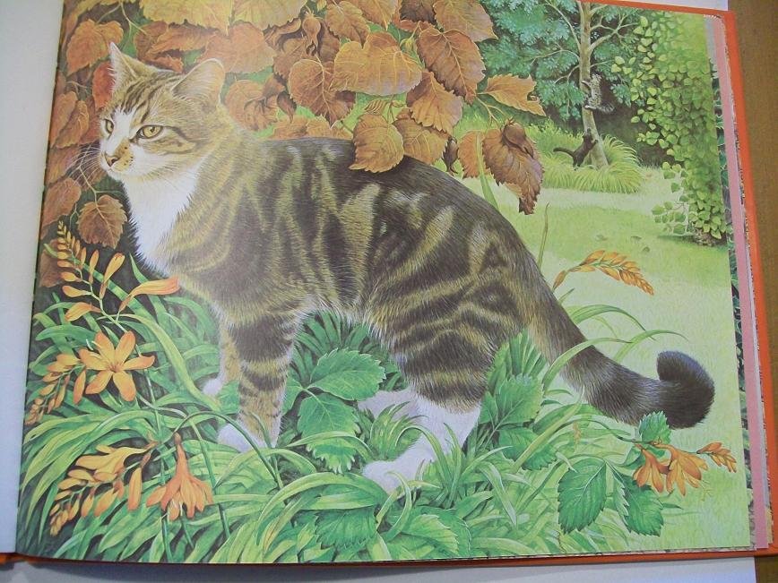Lesley Anne Ivory - Mijn katten mini-editie / druk 1