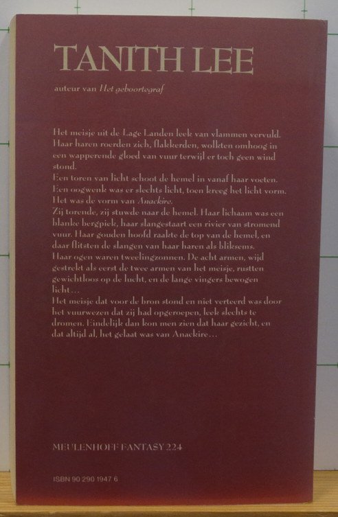 Lee, Tanith - stormgebieder - 2  - anackire