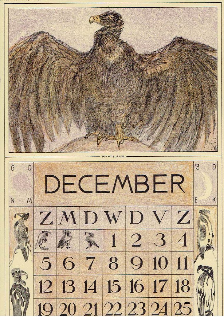 HOYTEMA, Theo van [HOIJTEMA] - Kalenderblad T. v. Hoytema - Mantelgier - december  - kalenderjaar 1914.