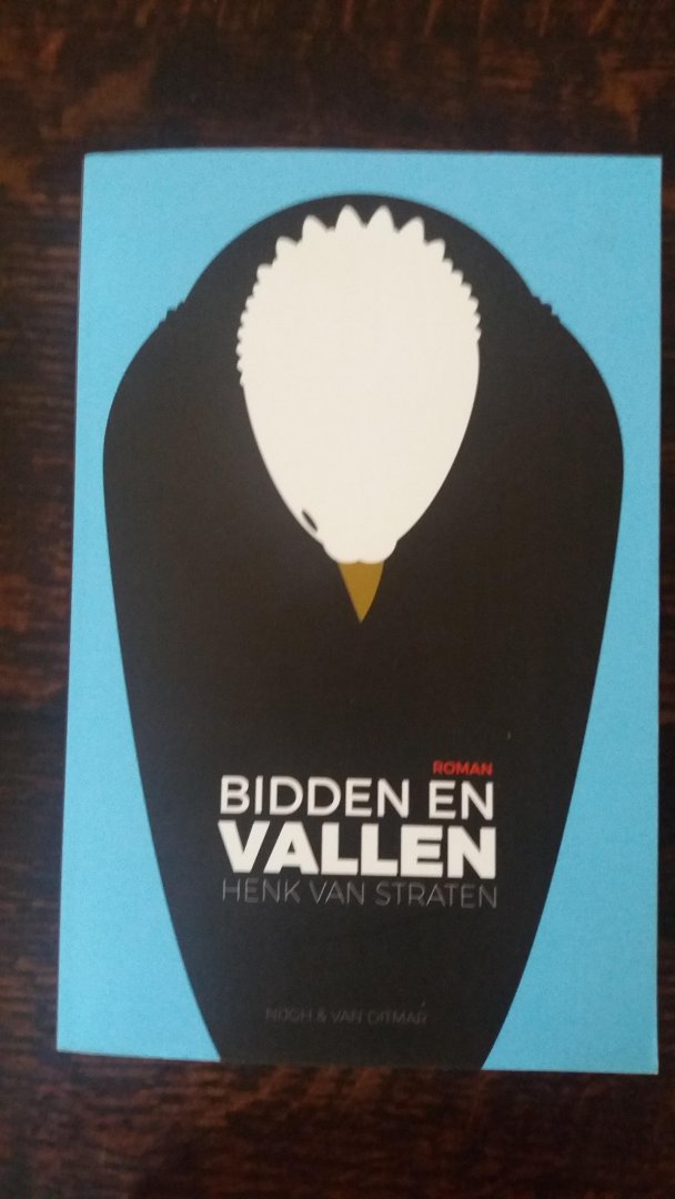 Straten, Henk van - Bidden en vallen