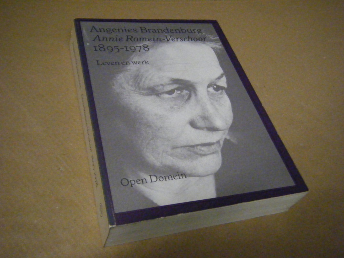 Angenies Brandenburg - Annie Romein-Verschoor 1895-1978 deel I - Leven en werk