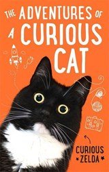 The Adventures of a Curious Cat - wit and wisdom from Curious Zelda, purrfect for cats and their humans