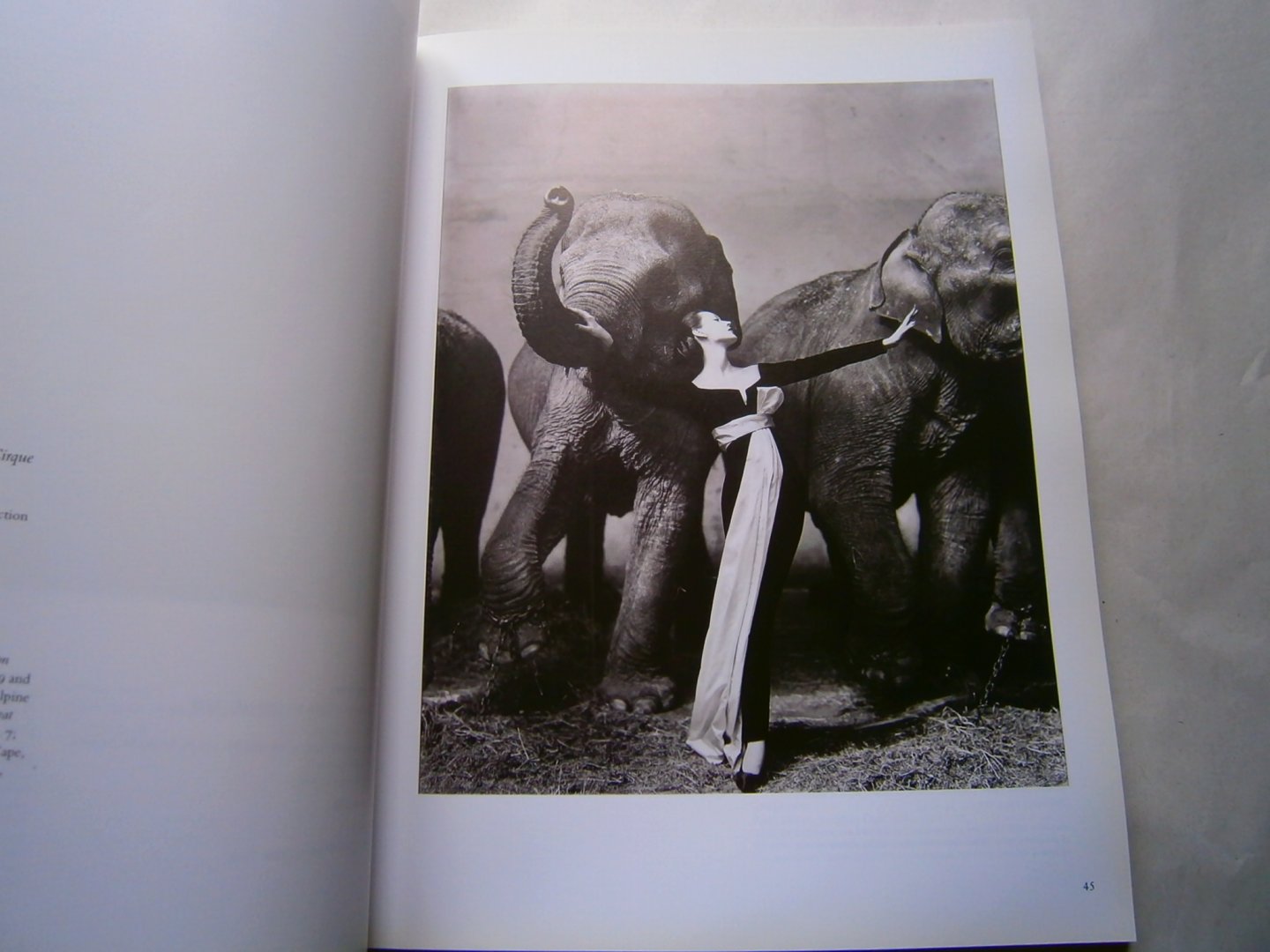  - 20th Century photographs, The Elfering  Collection