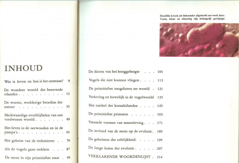 Barnett, Lincoln en de staf van Life Ned. bew. Rensenbrink, Han - De wonderen der evolutie.